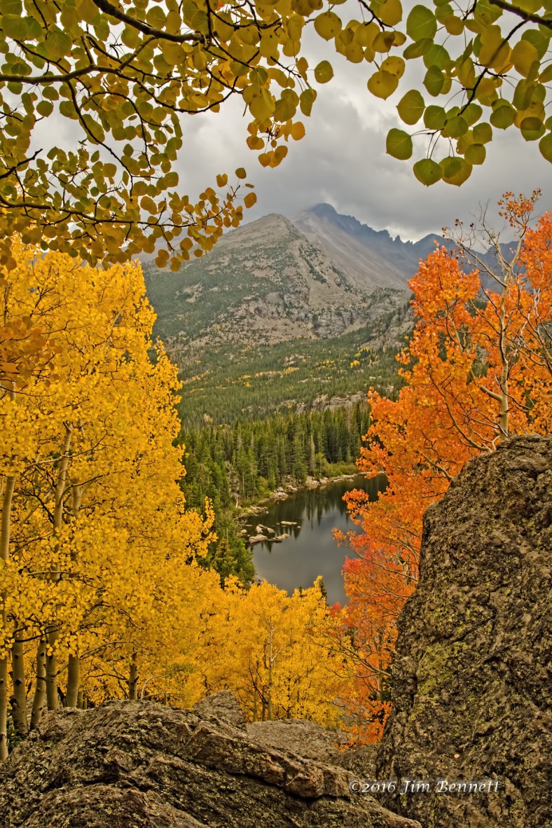 Aspen colors above Bear Lake in Rocky Mountain National Park, CO.