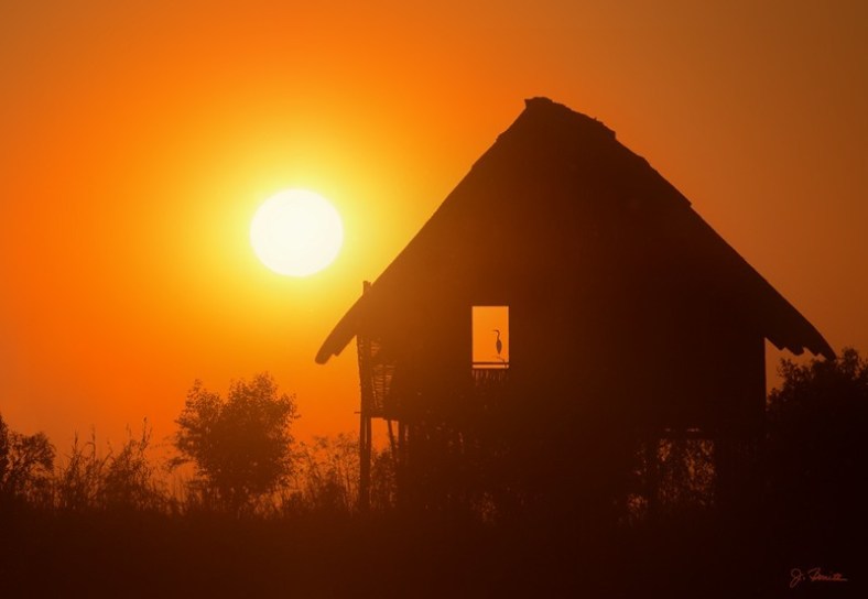 sunset shack heron
