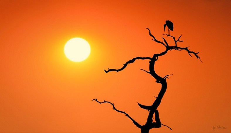 Impalila Island Sunset